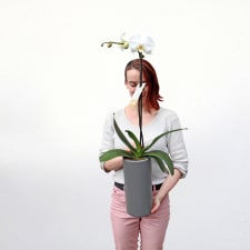 High Drama Orchid - Grey - Standard