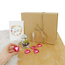Teddy Terrarium - Baby Girl - Standard