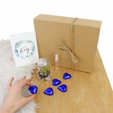 Teddy Terrarium - Baby Boy - Standard