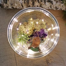 Zen Buddha Midnight Terrarium - Standard
