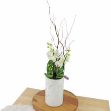 Polished Orchids - White - Standard