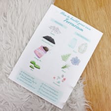 Terrarium Starter Kit - Standard