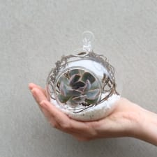 Succulent Bauble - Standard