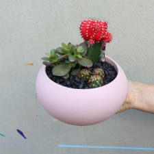 Green It Grows - Pink - Standard