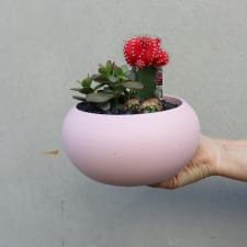 Green It Grows - Pink - Standard