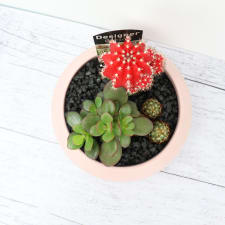 Green It Grows - Pink - Standard