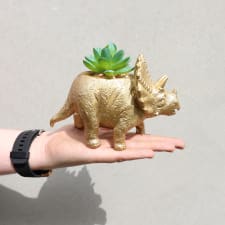 Golden Fossil - Triceratops - Standard