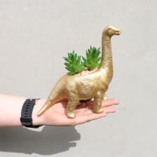 Faux Plant Brontosaurus - Standard