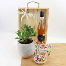 Congrats Succulent Hamper - Standard
