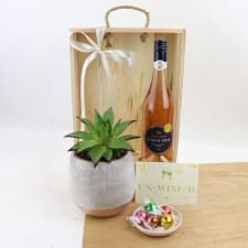 Un-Wine-D Rose Plant Hamper - Standard