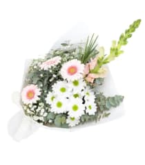 Little Garden Blooms