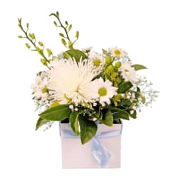Florist Choice White Mini Box  - Standard