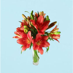 Lilies in a Vase - Standard