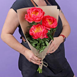 Market Bunch Peonies  - Standard