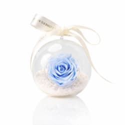 Preserved Blue Rose Orb - Standard