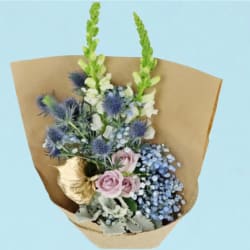 Pastel Sky  - Standard