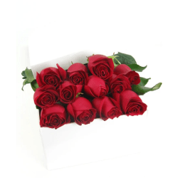 12 Elegant Roses - 12 Roses (One Dozen)