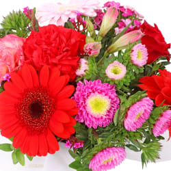 Red & Pink Florist Choice Box  - Standard