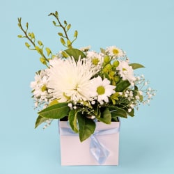 Florist Choice White Mini Box  - Standard