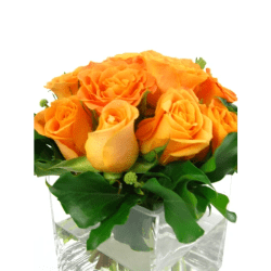Orange Rose Vase - Deluxe