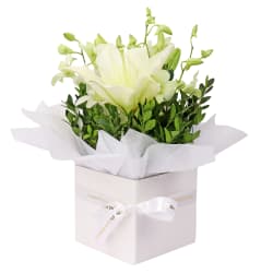 White Making Magic Posy Box - Standard