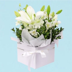 Making Magic - White  - Premium