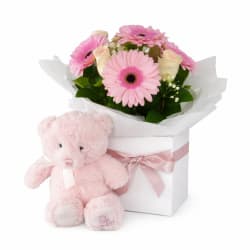 Sweet Blossom And Bear Duo  - Standard