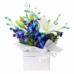 Blue Making Magic Posy Box  - Premium