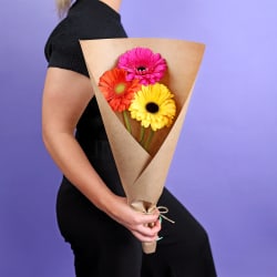 Market Gerbera Stems  - Standard