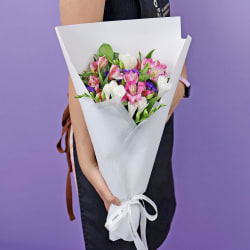 Freesia Frenzy - Standard