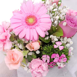 Florist Choice Pastels Box - Standard