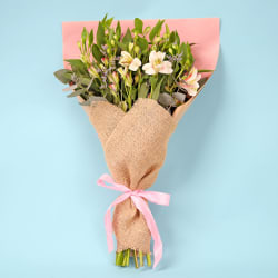 Alstroemeria Bunch - Standard