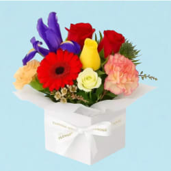 Florist Choice Mini Box  - Standard
