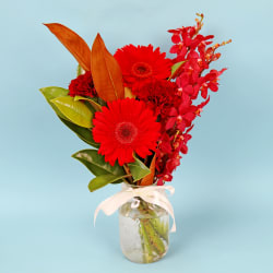 Ruby Radiance - Standard