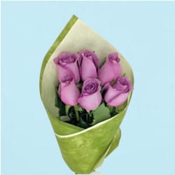Mauve Roses  - 6 Roses (Half Dozen)