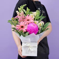 Pinkalicious Bloombox - Standard