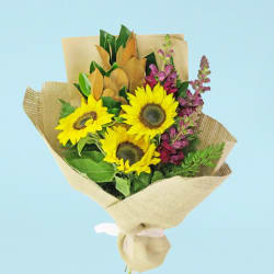 Sunny Style  - Standard