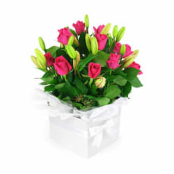 Plush Roses & Lilies Flower Box - Standard
