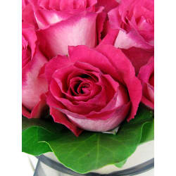 So Fancy Rose Hat Box - Standard