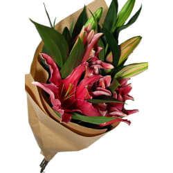 Majestic Oriental Lily Bouquet - Standard