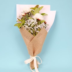 Popping Peonies  - Standard