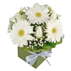 Pretty In White   Baby Boy - Standard