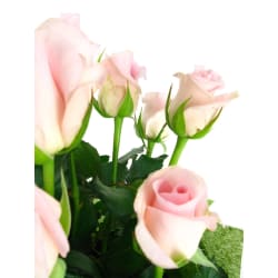 Bliss Pink Rose Flower Box - Standard