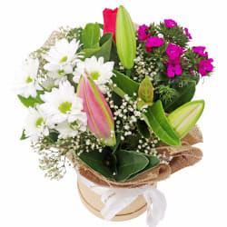 Spring Scents Hat Box - Standard