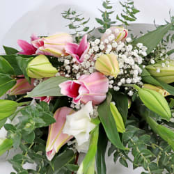 Pink Love And Comfort - Standard