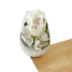 Beauty Beheld Cymbidium Orchid Vase - Standard