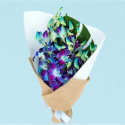 Blue Orchid Bunch  - Standard