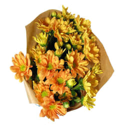 Chrysanthemum Bunch - Standard