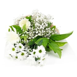 Little Thinking Of You Bunch - Deluxe