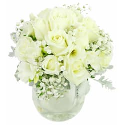 Rosabella - Standard